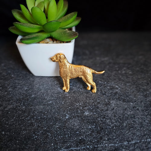 Curly Retriever broche